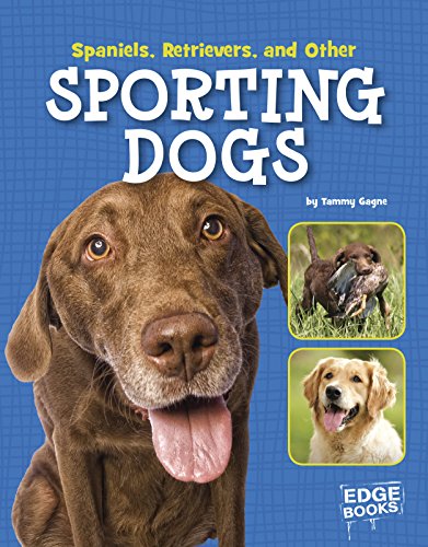 9781515703051: Spaniels, Retrievers, and Other Sporting Dogs