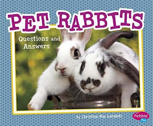 Beispielbild fr Pet Rabbits : Questions and Answers zum Verkauf von Better World Books
