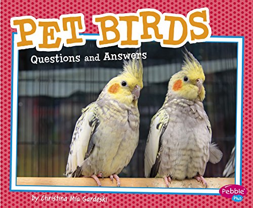 Beispielbild fr Pet Birds : Questions and Answers zum Verkauf von Better World Books
