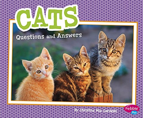 Beispielbild fr Cats : Questions and Answers zum Verkauf von Better World Books