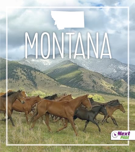 Stock image for Montana for sale by Blackwell's