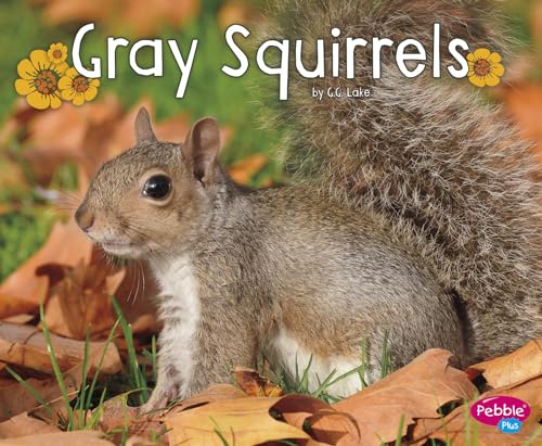 Stock image for Gray Squirrels for sale by Blackwell's