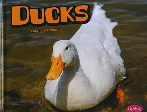 Stock image for Ducks (Farm Animals) for sale by GoldBooks