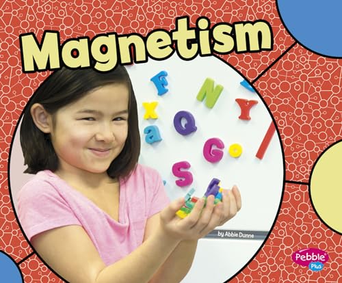 Stock image for Magnetism for sale by ThriftBooks-Dallas