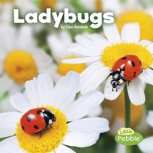 Stock image for Ladybugs (Little Pebble: Little Critters) for sale by ZBK Books