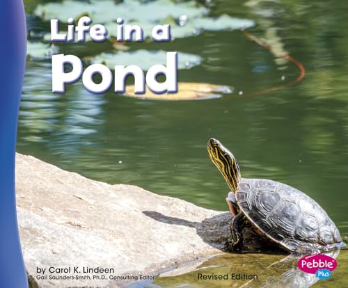 Stock image for Life in a Pond (Living in a Biome) for sale by Goodwill of Colorado