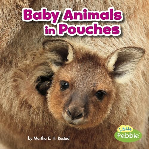 Beispielbild fr Baby Animals in Pouches zum Verkauf von Better World Books