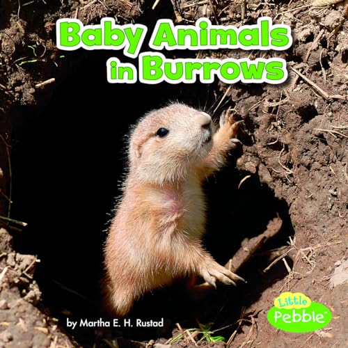Stock image for Baby Animals in Burrows (Baby Animals and Their Homes) for sale by SecondSale