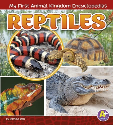 Imagen de archivo de Reptiles a la venta por Better World Books