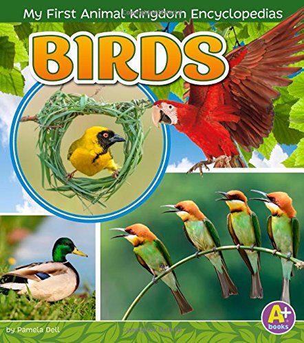 Beispielbild fr Birds zum Verkauf von Better World Books