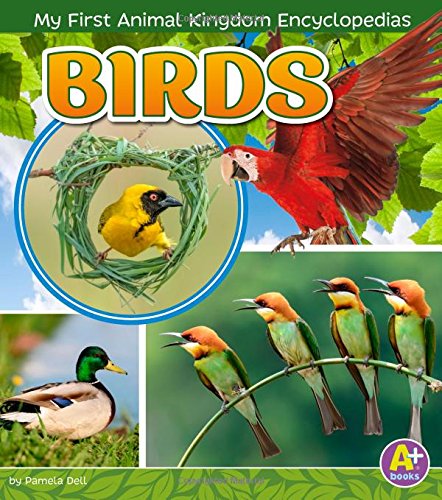 Imagen de archivo de Birds (My First Animal Kingdom Encyclopedias) a la venta por SecondSale
