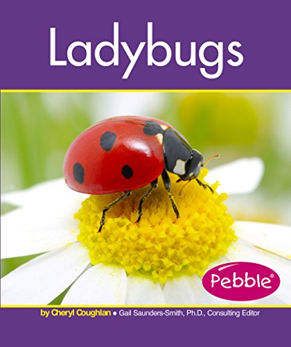 9781515742272: Ladybugs (Insects)