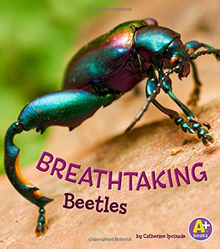 Imagen de archivo de Breathtaking Beetles (Bugs Are Beautiful!) a la venta por SecondSale