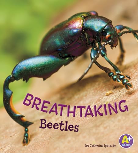 Imagen de archivo de Breathtaking Beetles a la venta por ThriftBooks-Dallas