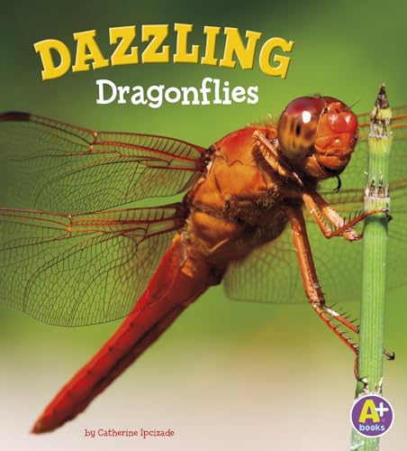 Beispielbild fr Dazzling Dragonflies (Bugs Are Beautiful!) zum Verkauf von SecondSale