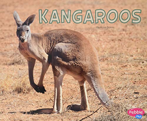 Stock image for Kangaroos (Meet Desert Animals) for sale by SecondSale