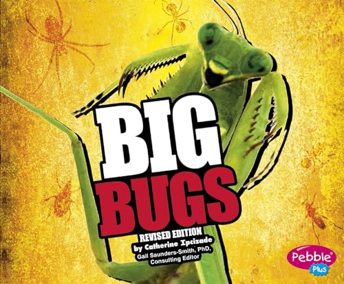 Beispielbild fr Big Bugs zum Verkauf von WorldofBooks