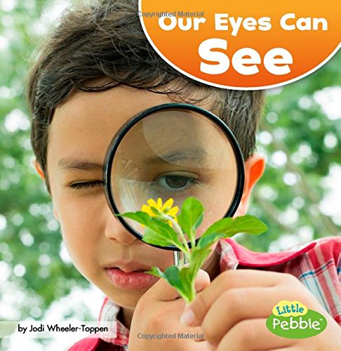 9781515767145: Our Eyes Can See (Our Amazing Senses) (Little Pebble: Our Amazing Senses)