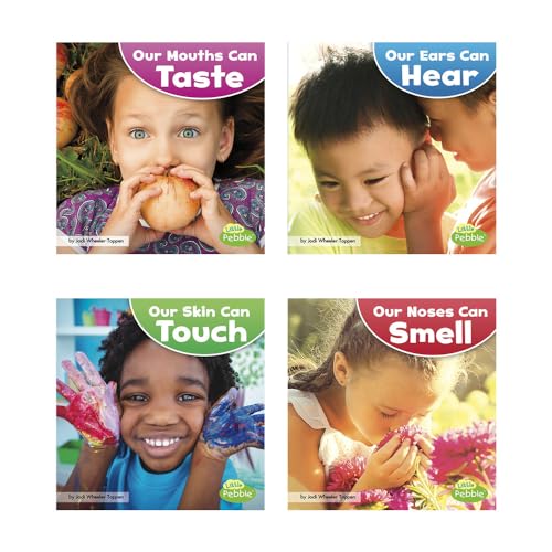 Stock image for Our Amazing Senses for sale by Revaluation Books
