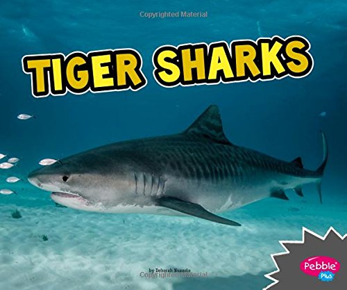 Stock image for Tiger Sharks for sale by Better World Books