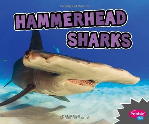 Beispielbild fr Hammerhead Sharks zum Verkauf von Blackwell's