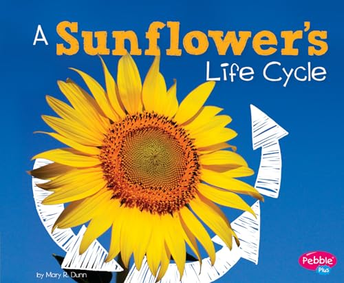 Stock image for A Sunflower's Life Cycle for sale by Better World Books: West