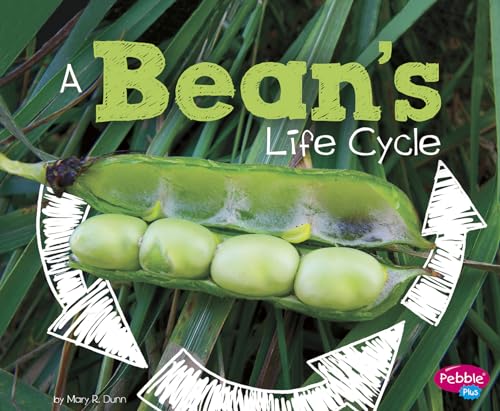 Stock image for A Bean's Life Cycle (Explore Life Cycles) for sale by SecondSale