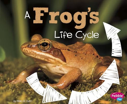 Imagen de archivo de A Frog's Life Cycle (Explore Life Cycles) a la venta por Reliant Bookstore