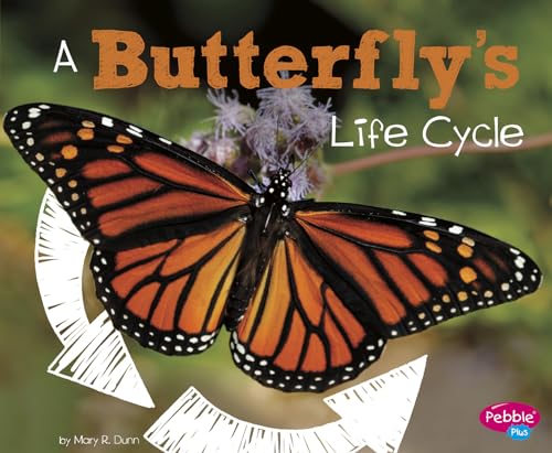 Beispielbild fr A Butterfly's Life Cycle zum Verkauf von Blackwell's