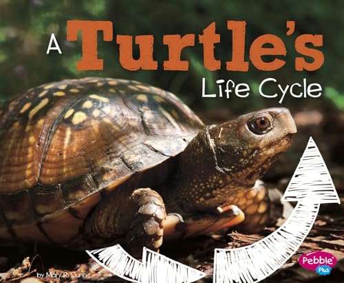 Imagen de archivo de A Turtle's Life Cycle a la venta por Better World Books
