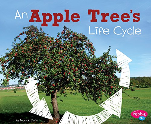 Stock image for An Apple Tree's Life Cycle for sale by Better World Books: West
