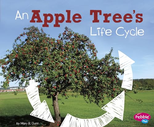 Stock image for An Apple Tree's Life Cycle for sale by ThriftBooks-Dallas