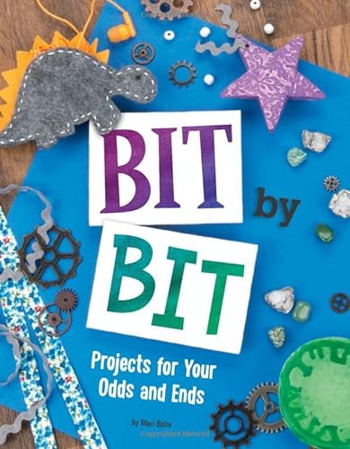9781515773757: Bit by Bit: Projects for Your Odds and Ends (Project Passion)