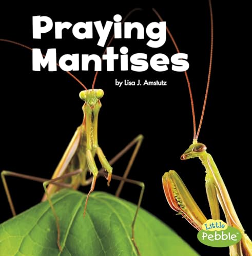 Beispielbild fr Praying Mantises zum Verkauf von Better World Books