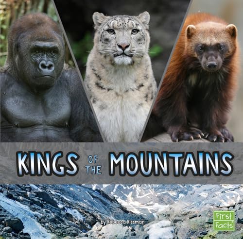 Imagen de archivo de Kings of the Mountains a la venta por Better World Books