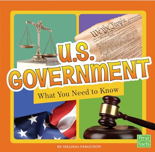 Imagen de archivo de U.S. Government: What You Need to Know (Fact Files) a la venta por Your Online Bookstore