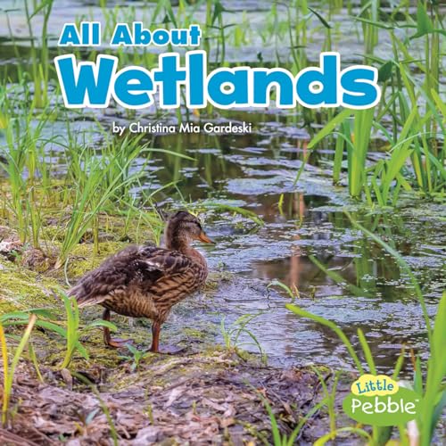 Beispielbild fr All About Wetlands (Habitats) (Little Pebble: Habitats) zum Verkauf von -OnTimeBooks-