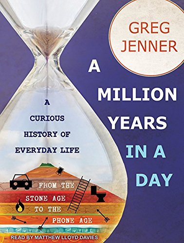 Stock image for A Million Years in a Day: A Curious History of Everyday Life From the Stone Age to the Phone Age for sale by Bookmans
