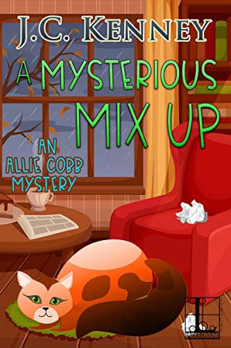 Beispielbild fr A Mysterious Mix Up: 3 (An Allie Cobb Mystery) zum Verkauf von AwesomeBooks