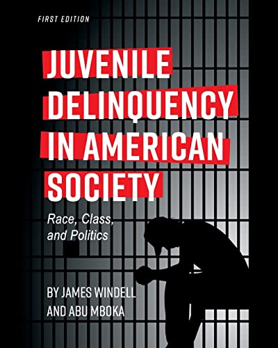 Beispielbild fr Juvenile Delinquency in American Society: Race, Class, and Politics zum Verkauf von Goodwill of Colorado