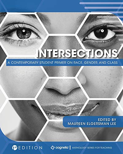 Stock image for Intersections : A Contemporary Student Primer on Race, Gender, and Class for sale by Better World Books