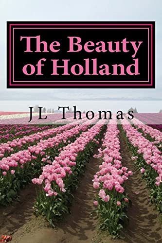 Beispielbild fr Beauty of Holland zum Verkauf von HPB-Movies
