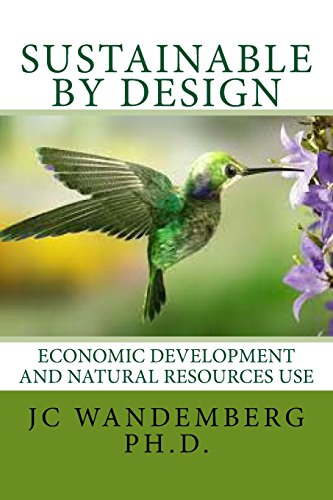 Stock image for Sustainable by Design: Economic Development and Natural Resources Use for sale by Revaluation Books