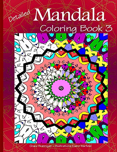 Beispielbild fr Detailed Mandala Adult Coloring Book zum Verkauf von Revaluation Books