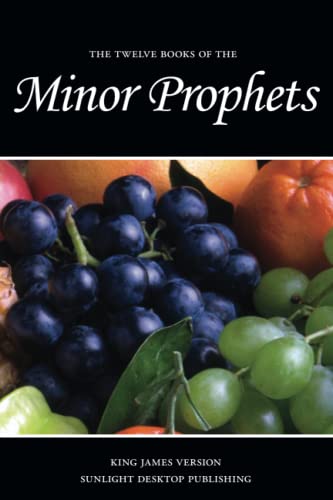 Stock image for Minor Prophets (KJV) (Sunlight Bibles Complete Set of Individual Bible Books) for sale by HPB-Ruby