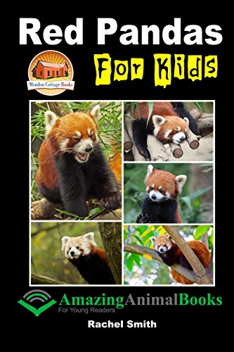 9781517012274: Red Pandas For Kids
