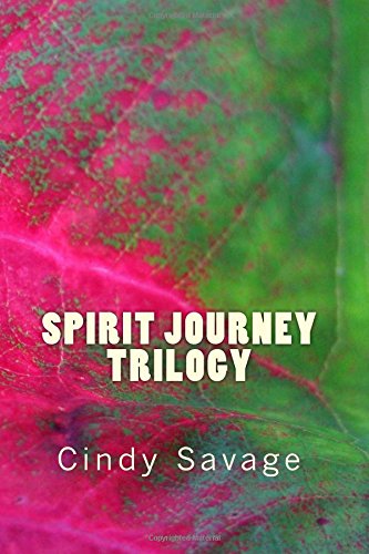 Beispielbild fr Spirit Journey Trilogy zum Verkauf von Revaluation Books