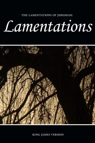 Stock image for Lamentations (KJV) (Sunlight Bibles Complete Set of Individual Bible Books) for sale by SecondSale