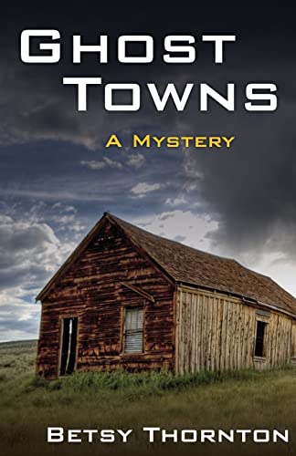 Stock image for Ghost Towns (Chloe Newcombe) for sale by Bookmans