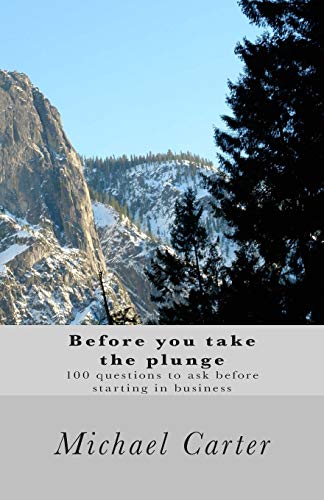 Beispielbild fr Before you take the plunge: 100 questions to ask before starting in business zum Verkauf von WorldofBooks